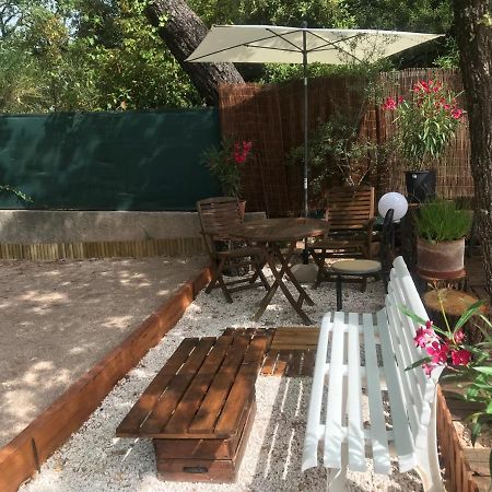 Mas Provencal Au Cannet Des Maures Ле-Канне-де-Мор Экстерьер фото