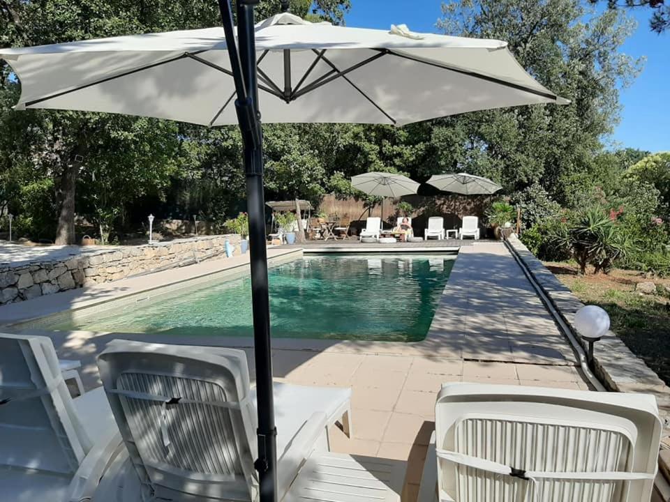 Mas Provencal Au Cannet Des Maures Ле-Канне-де-Мор Экстерьер фото